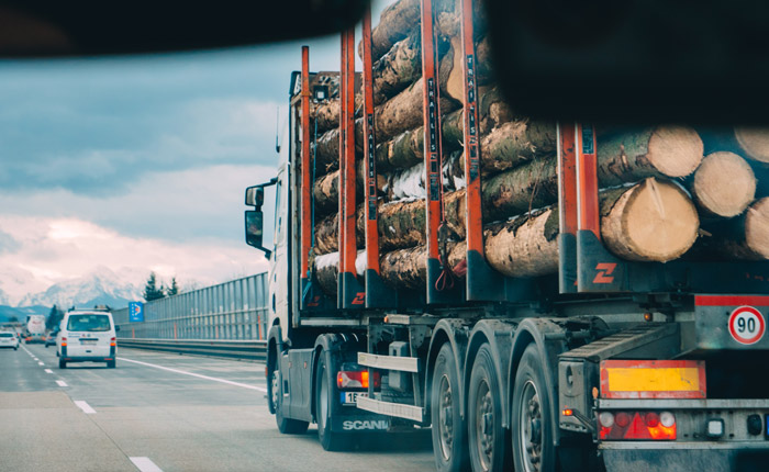 cargo truck full of tree logs passing on road